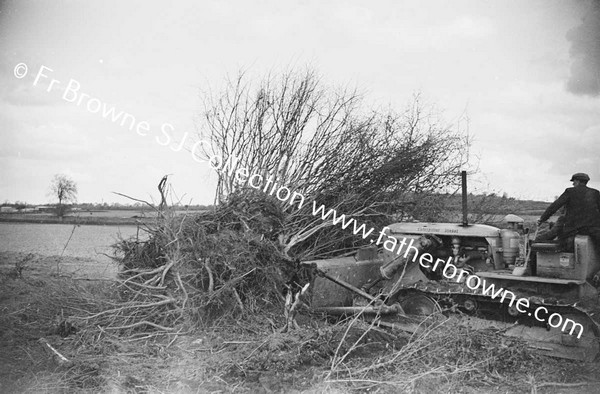 BULLDOZER  CLEARING SCRUB AND TREES  NEAR LAKE